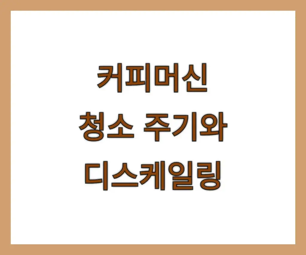 커피머신 청소 주기와 디스케일링 방법 쉽게 배우기